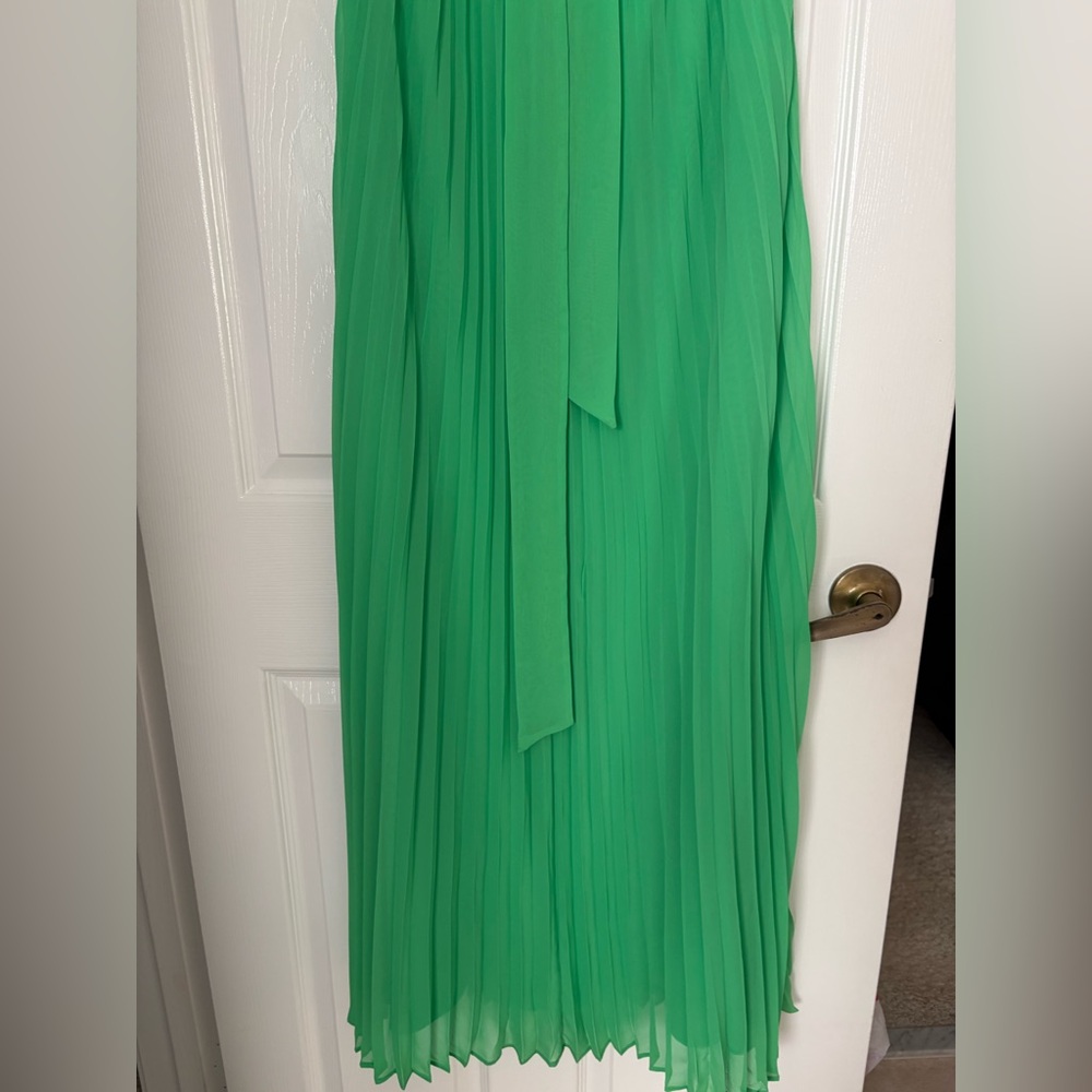 Eva Mendes for New York & Company Green Maxi Dress